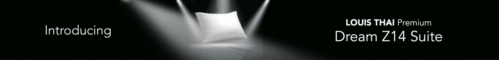 louis-thai-premium-dream-z14-suite-4