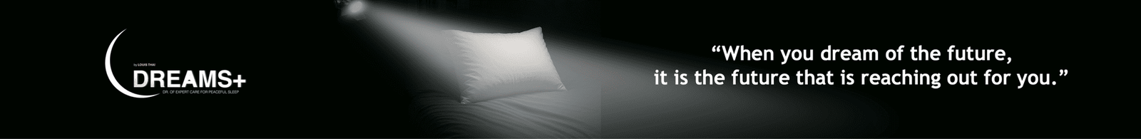 louis-thai-premium-dream-z14-suite-5