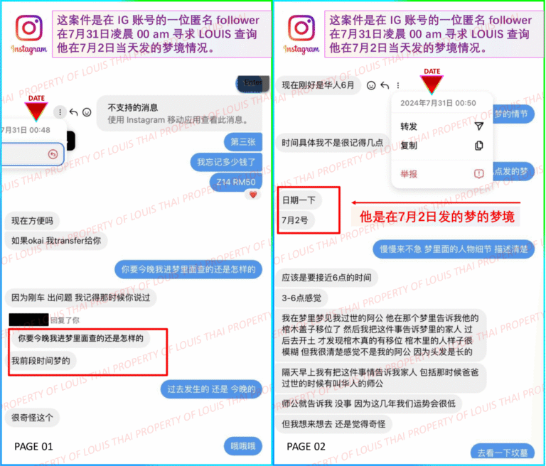 01-louis-dream-consultation-714-case-july2024