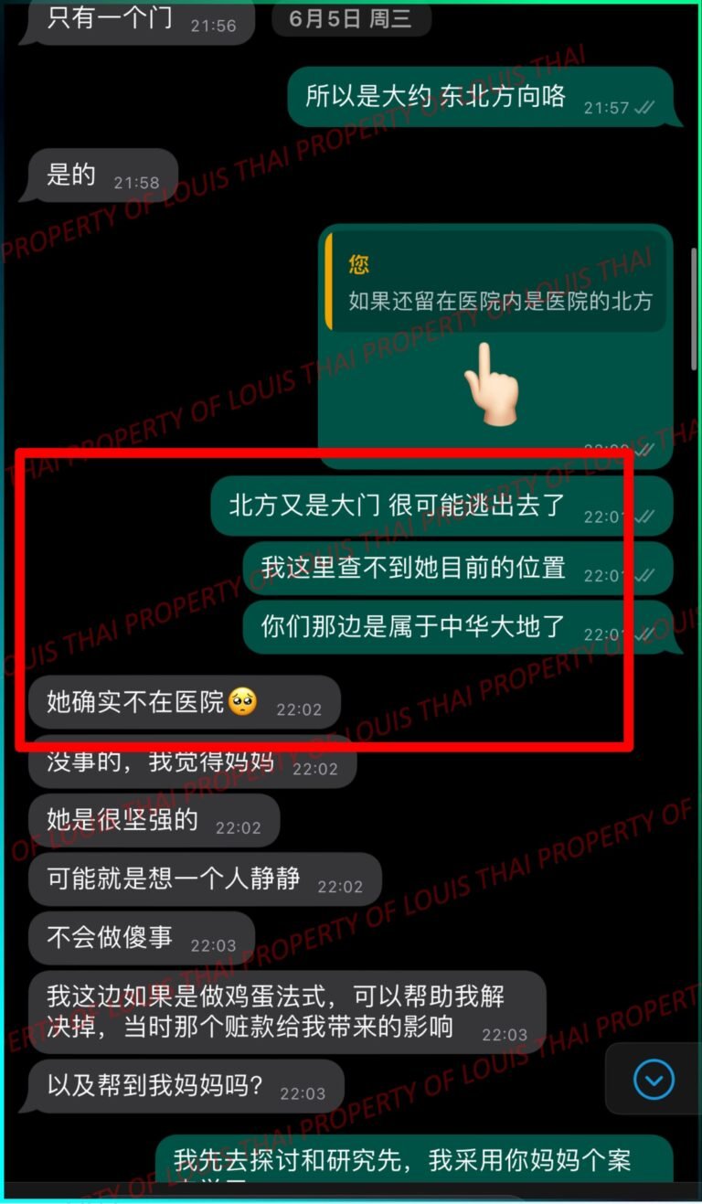 Chat evidence showing LouisThai clairvoyant consultation guiding family towards missing person direction from hospital.